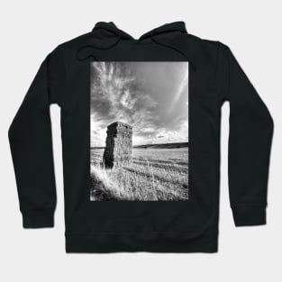 Straw Bales Stacked High Hoodie